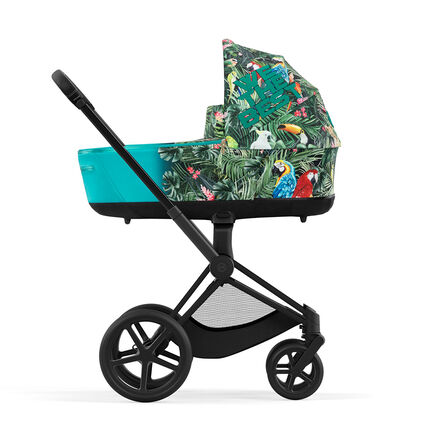 Sidovy vy av en barnvagn med tropisk design och papegojor av DJ Khaled.