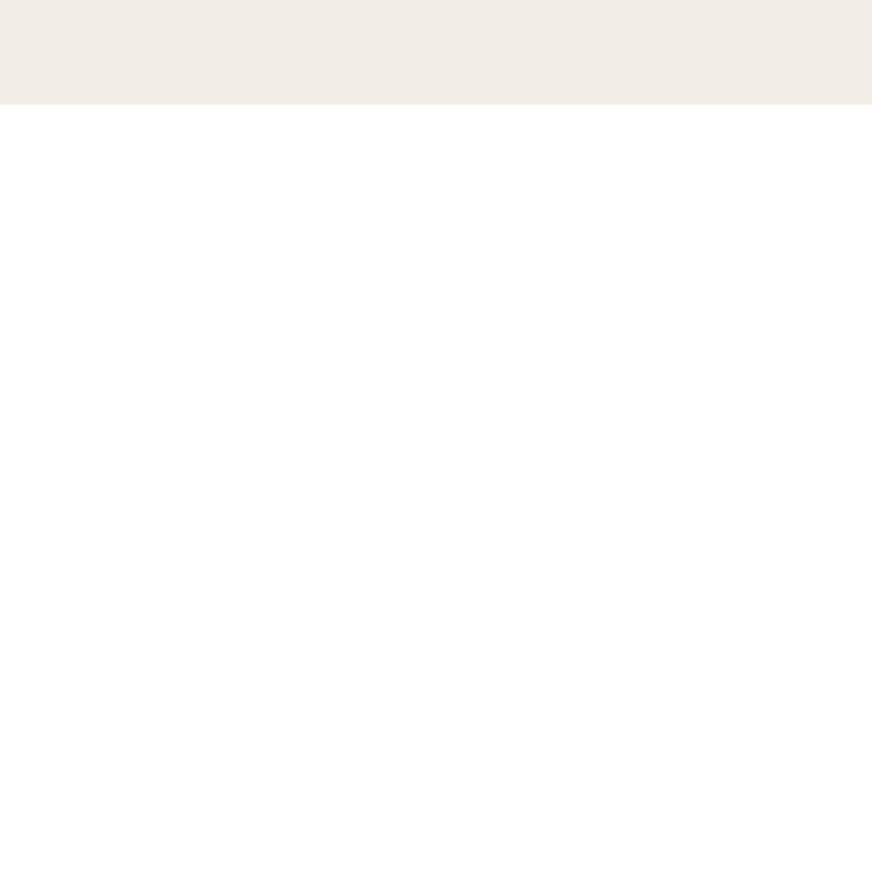 A white background with a beige stripe at the top.