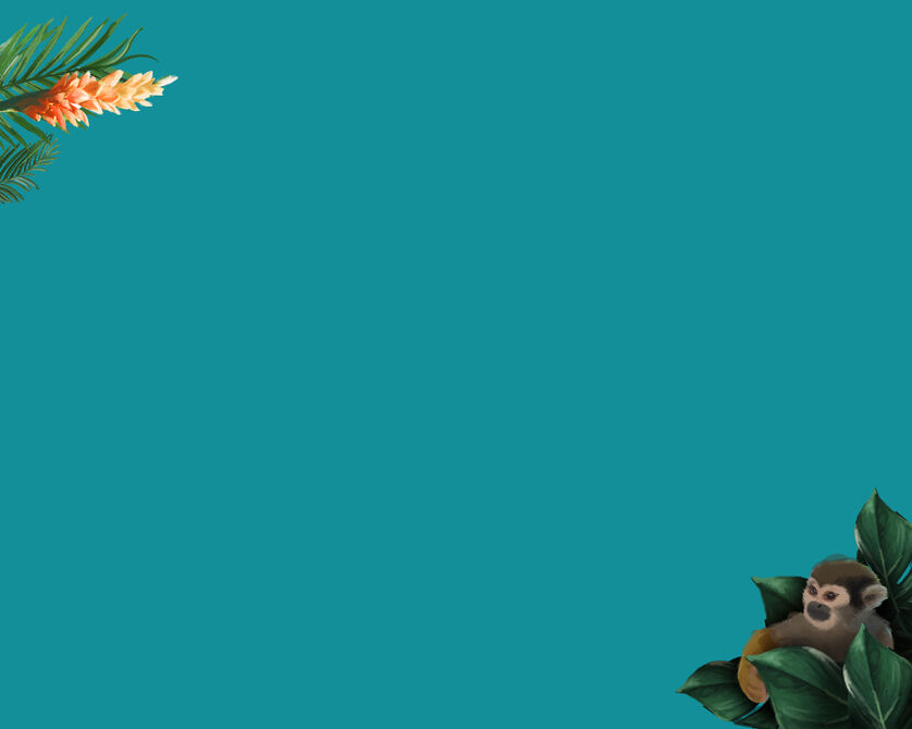 A turquoise background with an orange flower branch in the top left and a small monkey sitting in a pile of leaves in the bottom right.
