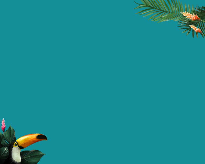 A colourful toucan perched on a leaf against a turquoise background, with palm leaves in the top right corner.