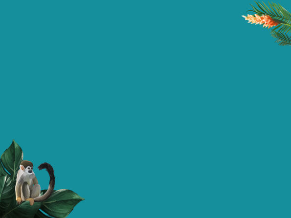 Monkey on a leaf against a turquoise background, with an orange flower in the top right.
