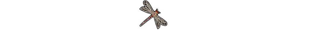 Dragonfly with intricate wing patterns on a white background.