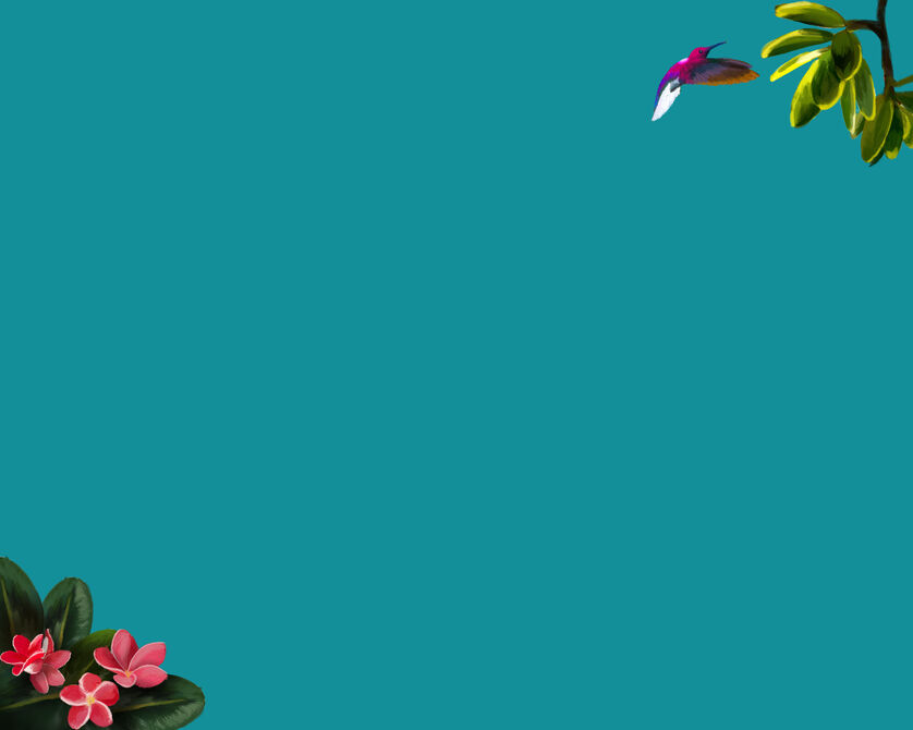 A turquoise background featuring a hummingbird flying in the top right and red flowers in the bottom left.