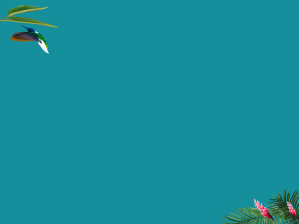 A hummingbird flying against a turquoise background with green leaves and pink flowers in the corner.