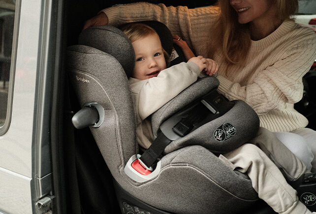 Accessories for Car Seats