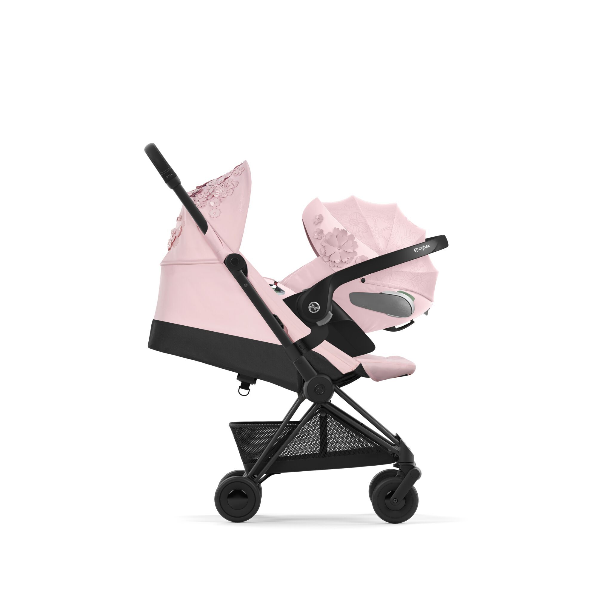 Coya - Pale Blush - Image 6
