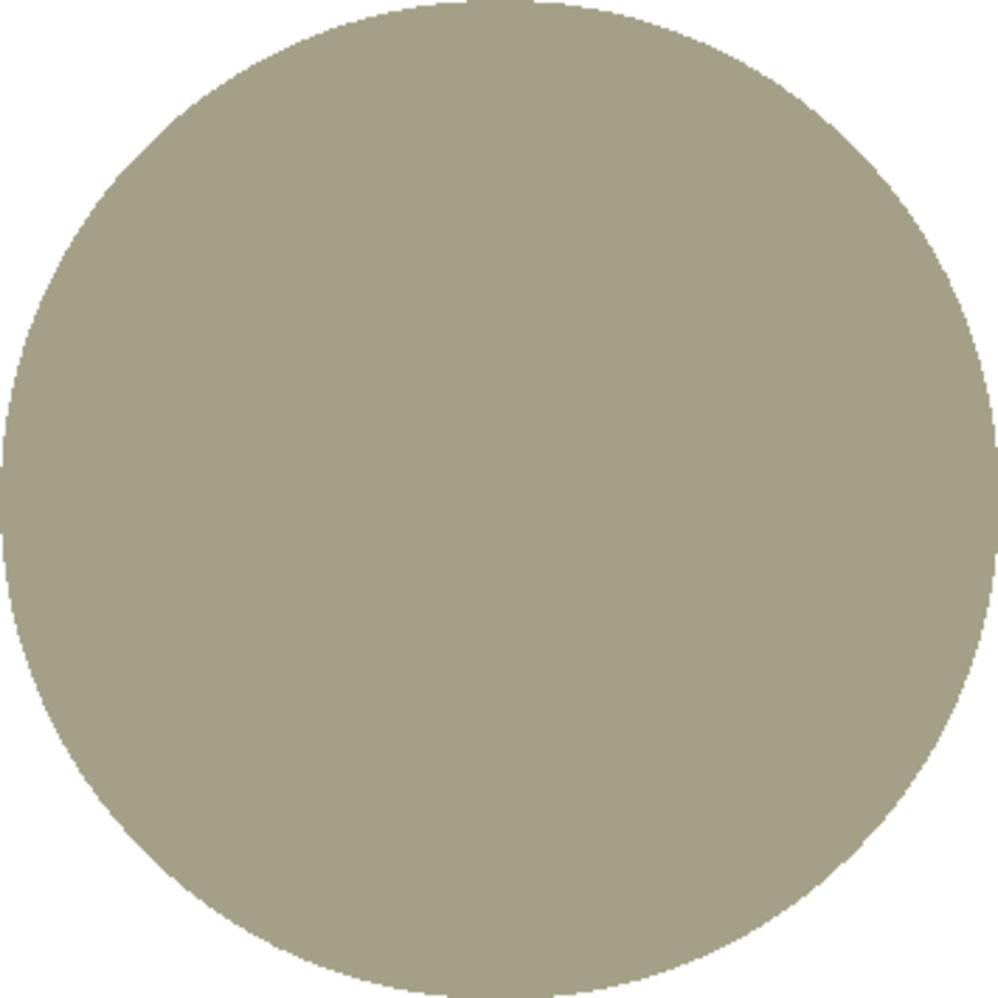 Sage Green (Rosegold Frame)