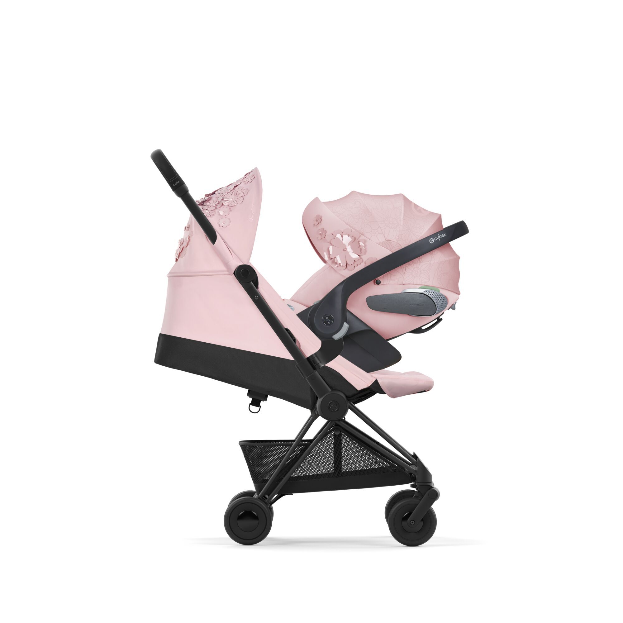 Coya - Pale Blush - Image 11