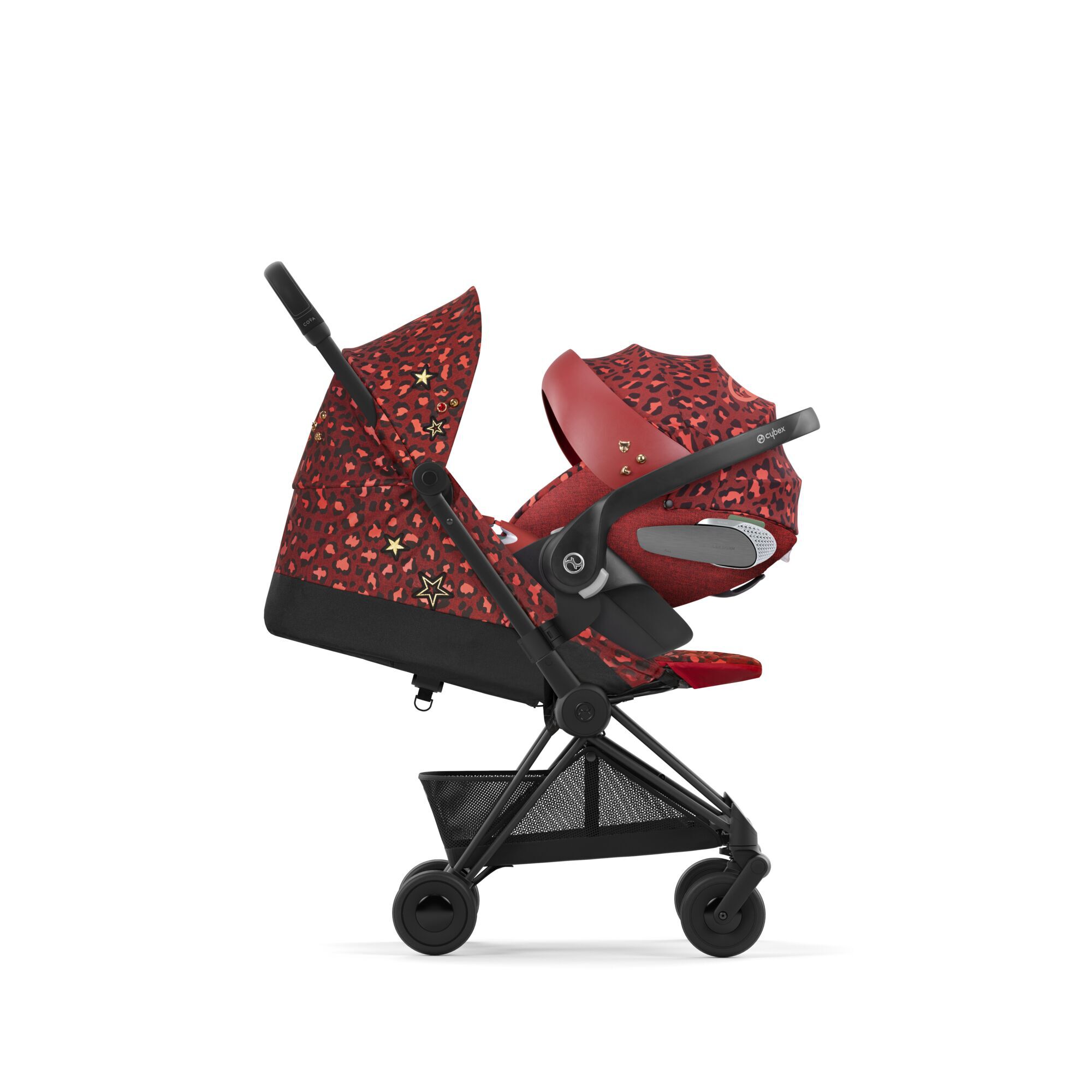 Coya - Rockstar - Image 6