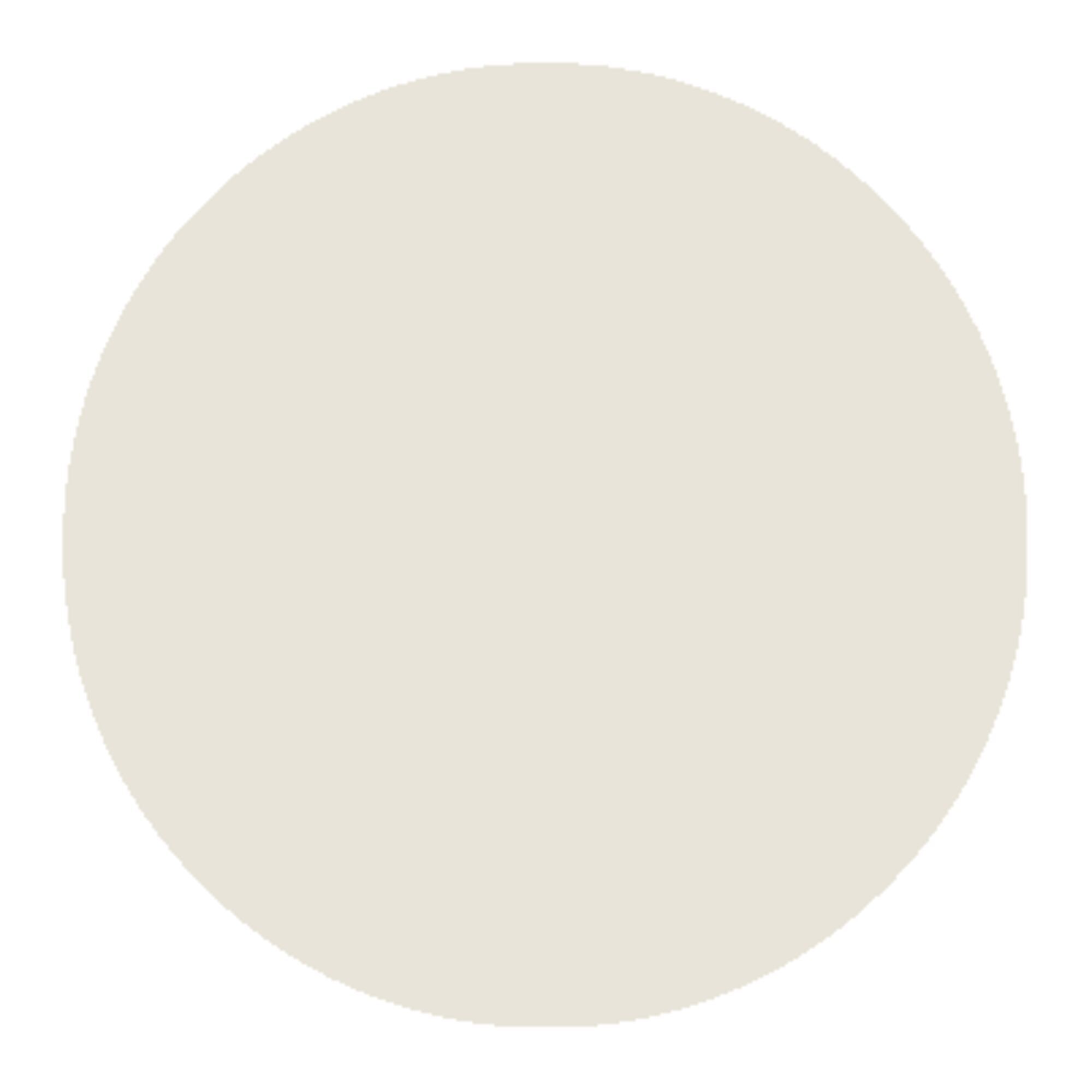 Canvas White